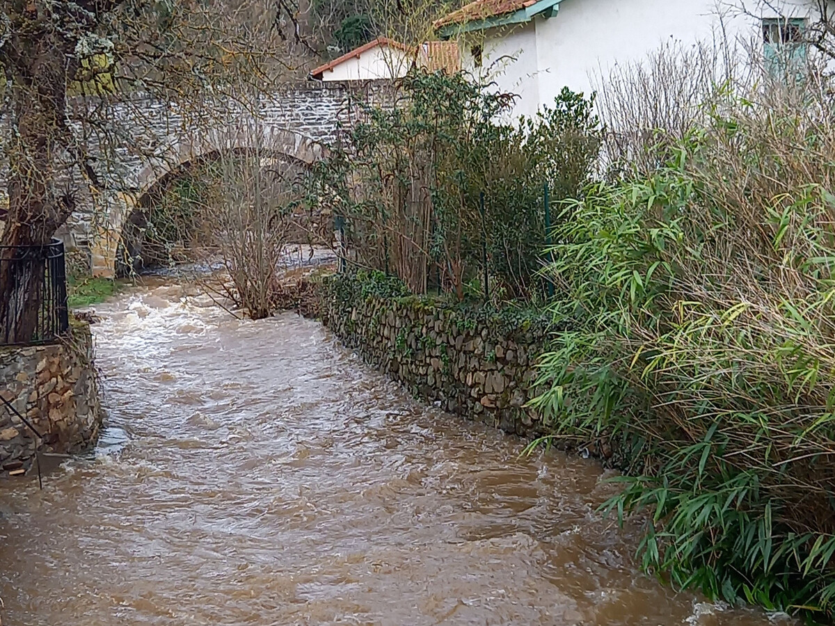 Gîte des Remparts à Auzon, 6 pers., rénové avec suite parentale - Photo 25
