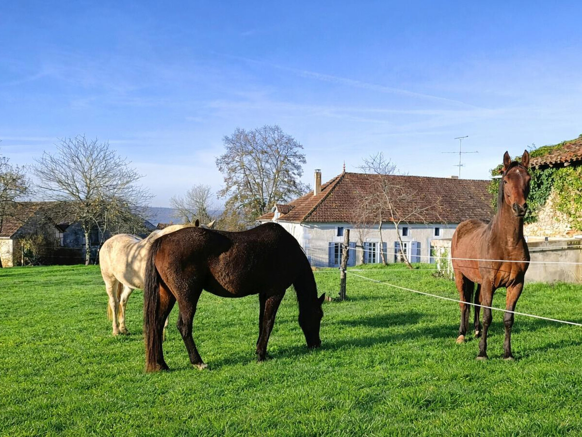 Gîte 10 pers. avec piscine, pâturage chevaux à Villamblard - Photo 6