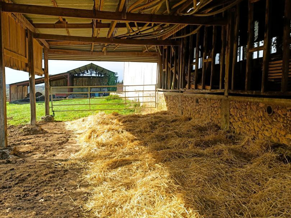 Gîte 10 pers. avec piscine, pâturage chevaux à Villamblard - Photo 23