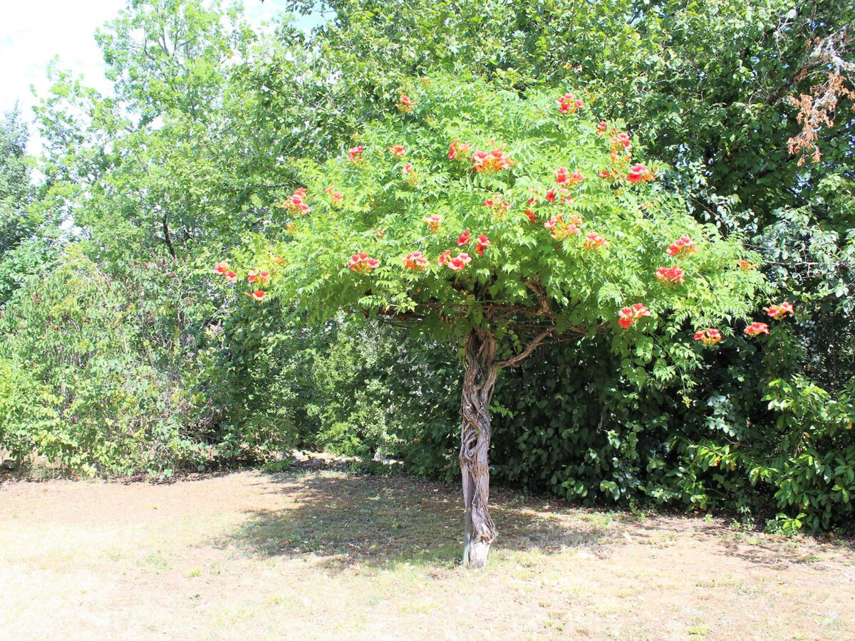Appartement indépendant Périgord Noir, jardin 300 m² - Photo 17