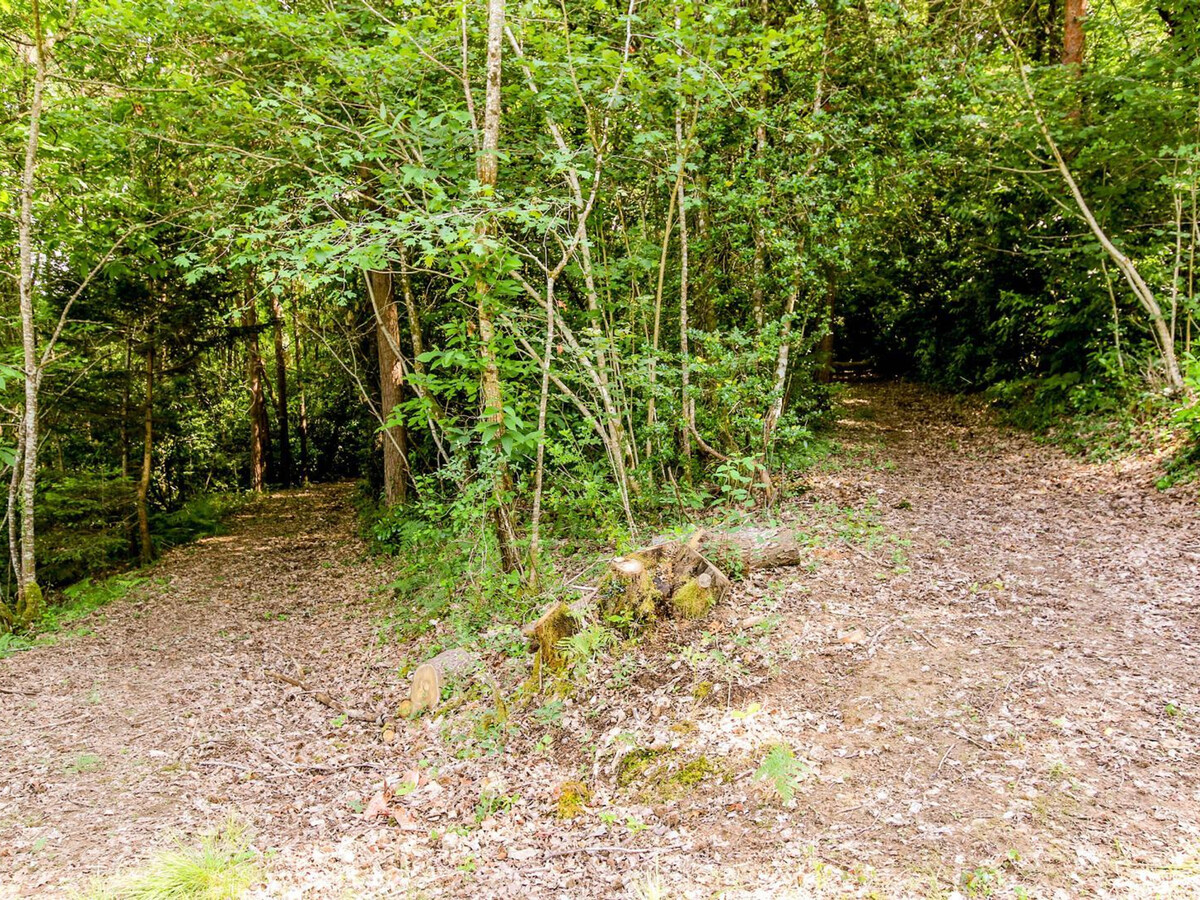 Gîte 4 pers. piscine 4x8m partagée, Boulazac - Photo 28