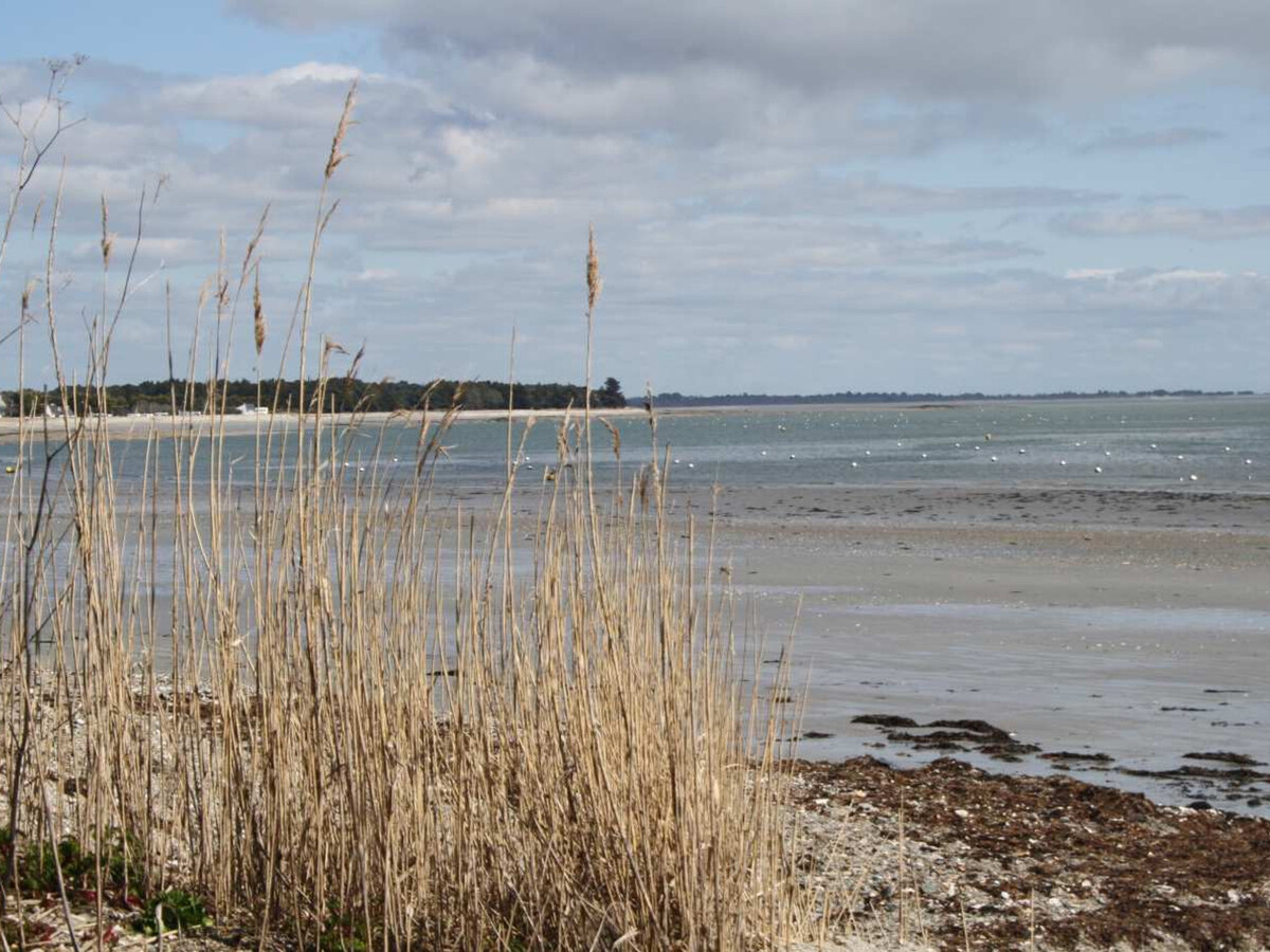 Maison pierre neuve à 600m plage, Sarzeau - Photo 22
