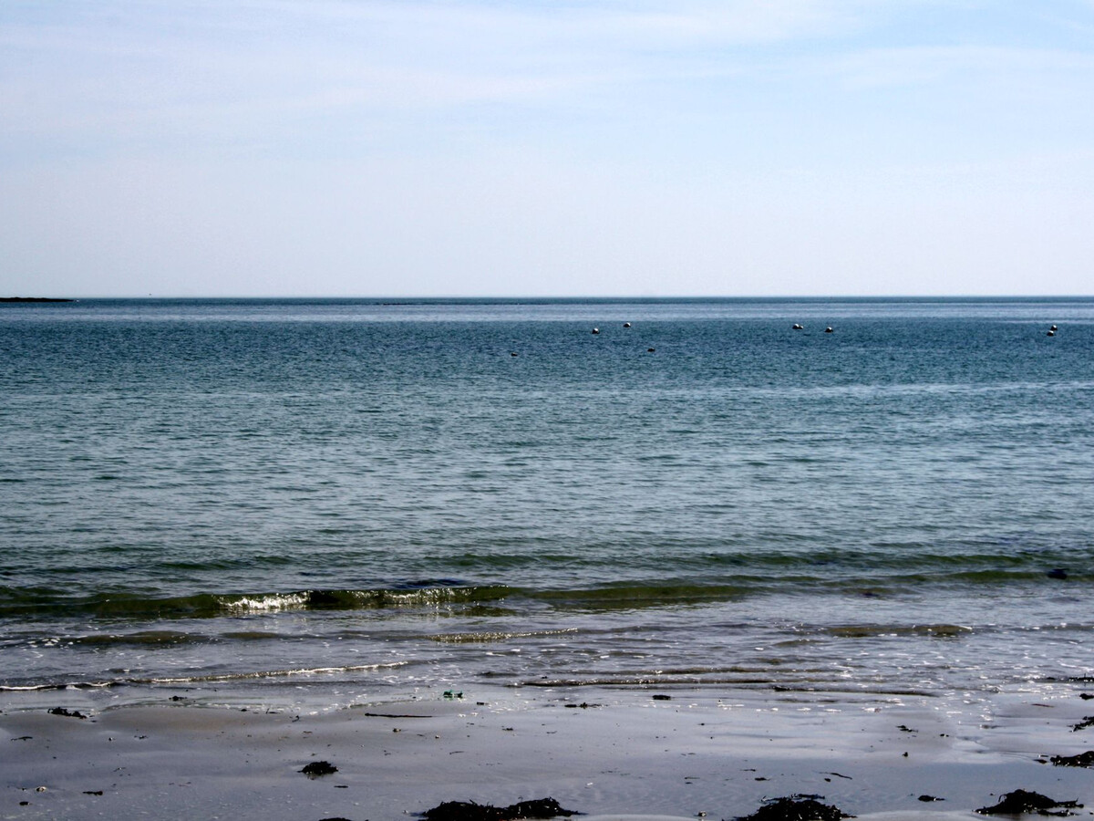 Maison pierre neuve à 600m plage, Sarzeau - Photo 29