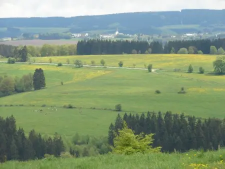 Snowview Lodge – Maison 22 pers., accessible, Ardennes : photo 20