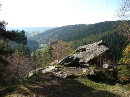 Snowview Lodge – Maison 22 pers., accessible, Ardennes : photo 23