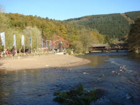 Snowview Lodge – Maison 22 pers., accessible, Ardennes : photo 31