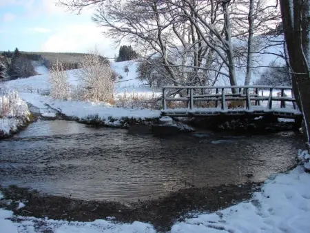 Snowview Lodge – Maison 22 pers., accessible, Ardennes : photo 39