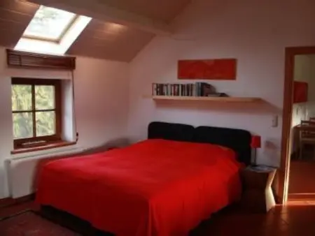 Vue au Jardin : appartement 42 m² à Hombourg, balcon couvert : photo 3