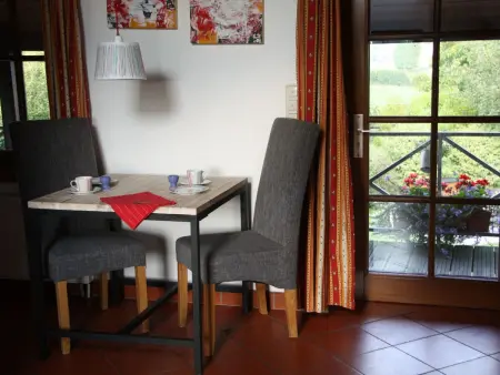 Vue au Jardin : appartement 42 m² à Hombourg, balcon couvert : photo 8
