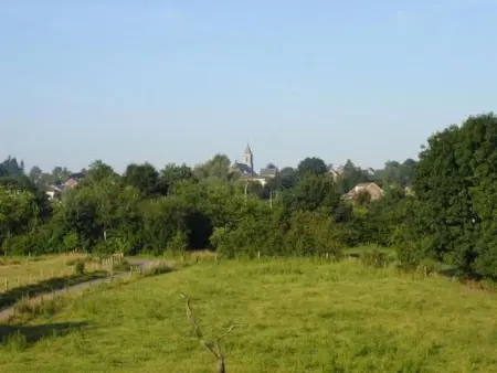 Vue au Jardin : appartement 42 m² à Hombourg, balcon couvert : photo 13