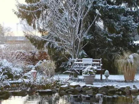 Vue au Jardin : appartement 42 m² à Hombourg, balcon couvert : photo 15