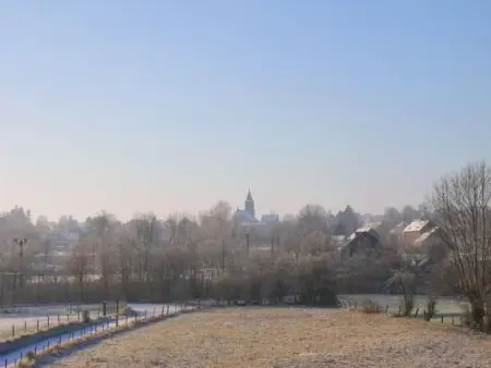 Vue au Jardin : appartement 42 m² à Hombourg, balcon couvert : photo 16