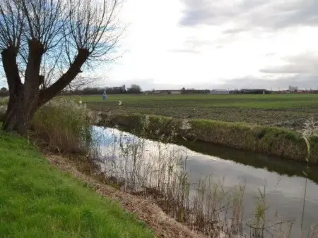 Maison 4 pers. avec piscine chauffée à De Panne : photo 32