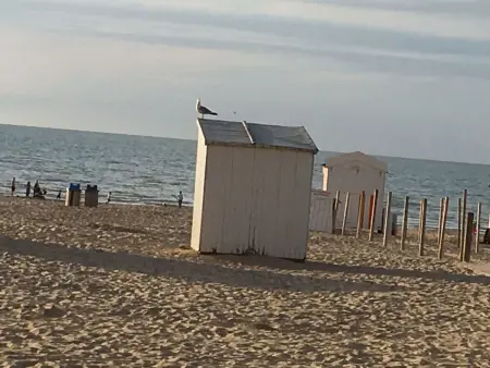 Maison 4 pers. avec piscine chauffée à De Panne : photo 35