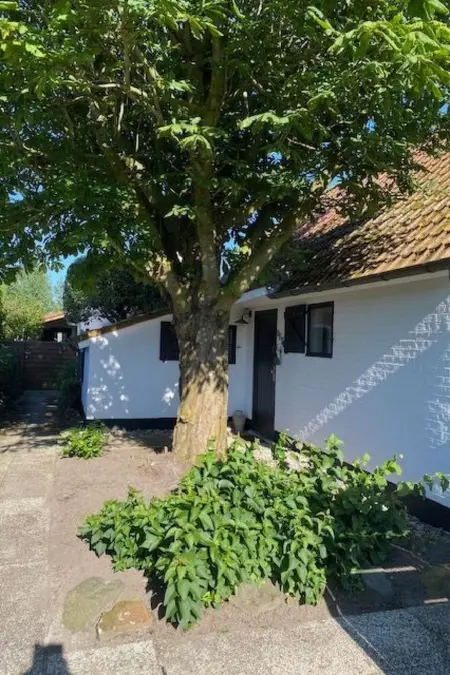 Zonnewind, maison 6 pers. à De Panne près dunes : photo 2