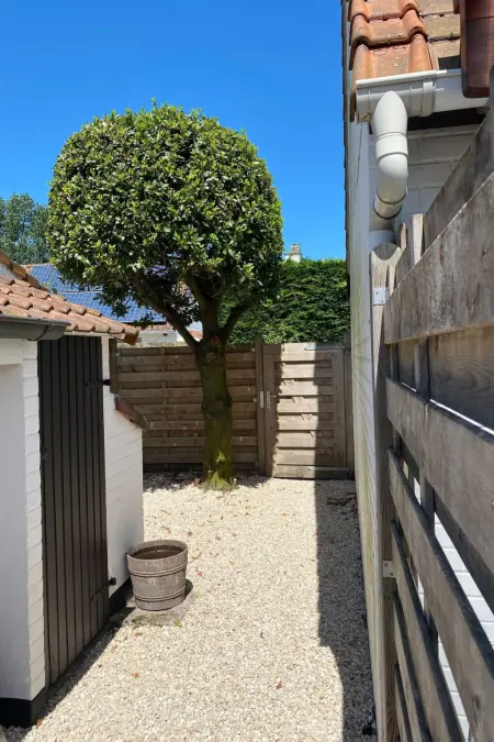 Zonnewind, maison 6 pers. à De Panne près dunes : photo 25