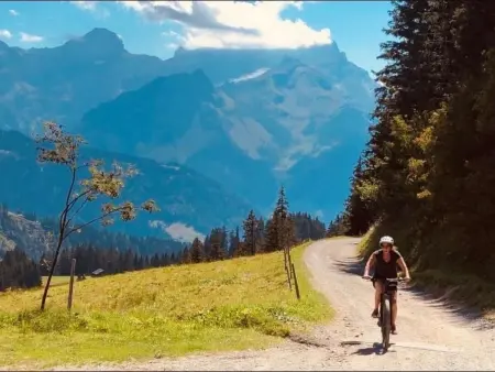 Authentisches Schweizer Alpenchalet aus dem 18., Maison 6 personnes à La Forclaz VD - Photo 11