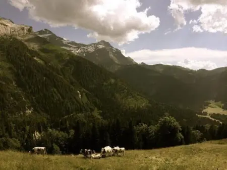 Authentisches Schweizer Alpenchalet aus dem 18., Maison 6 personnes à La Forclaz VD - Photo 26