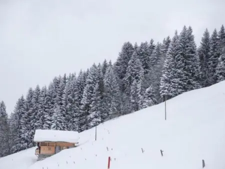 Authentisches Schweizer Alpenchalet aus dem 18., Maison 6 personnes à La Forclaz VD - Photo 31