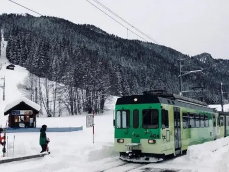 Authentisches Schweizer Alpenchalet aus dem 18., Maison 6 personnes à La Forclaz VD - Photo 35
