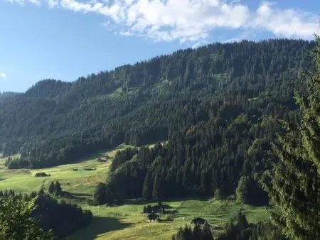 Authentisches Schweizer Alpenchalet aus dem 18., Maison 6 personnes à La Forclaz VD - Photo 44