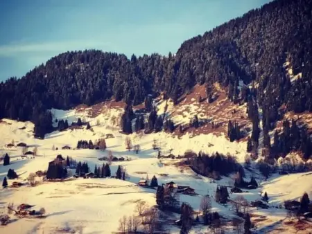 Authentisches Schweizer Alpenchalet aus dem 18., Maison 6 personnes à La Forclaz VD - Photo 45