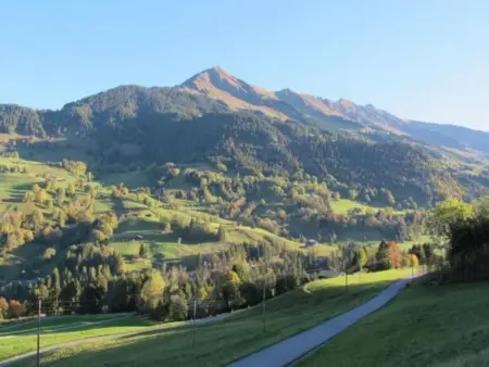 Authentisches Schweizer Alpenchalet aus dem 18., Maison 6 personnes à La Forclaz VD - Photo 53