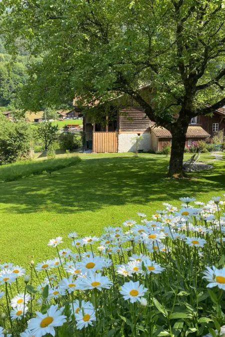 „Seesicht“, Maison 5 personnes à Iseltwald - Photo 2