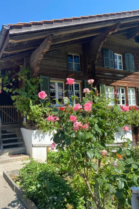„Seesicht“, Maison 5 personnes à Iseltwald - Photo 7