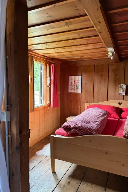 „Seesicht“, Maison 5 personnes à Iseltwald - Photo 21