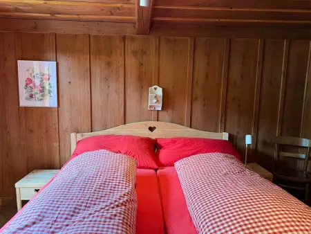 „Seesicht“, Maison 5 personnes à Iseltwald - Photo 22