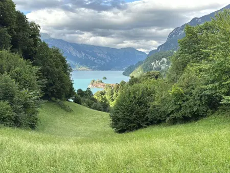„Seesicht“, Maison 5 personnes à Iseltwald - Photo 30