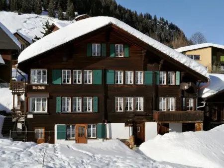Location appartement à Lauterbrunnen, Apartment Ost