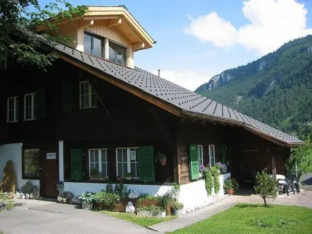 Location appartement à Meiringen, Steinideen