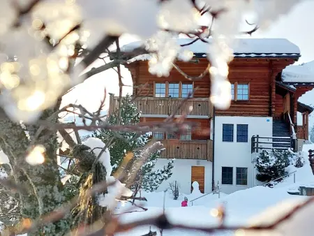 Location appartement à Bellwald, Aspa EG