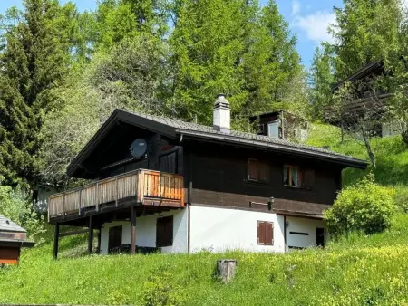 Location maison à Bellwald, Chalet Glücksfall