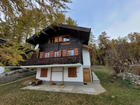 Location appartement à Bellwald, Chalet Männertreu OG