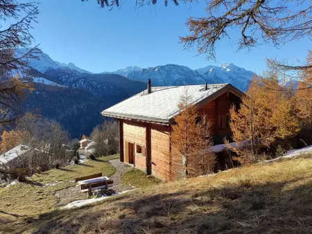 Location maison à Bellwald, Chalet Luisa