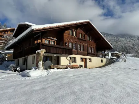 Location appartement à Hasliberg, Grubi
