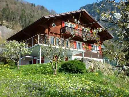 Location appartement à Vitznau, Chalet Bärgblick