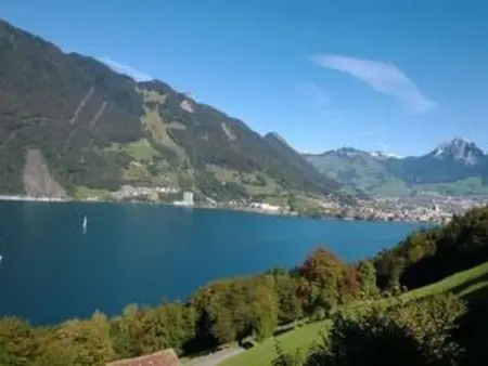 Top Ferienhaus, Maison 6 personnes à Seelisberg - Photo 12