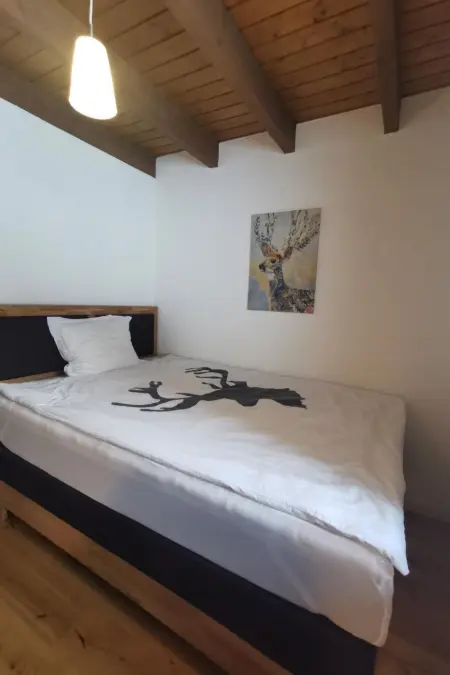 Seppi - Seen und Berge, Maison 4 personnes à Seelisberg - Photo 16