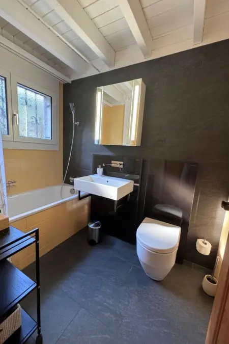Seppi - Seen und Berge, Maison 4 personnes à Seelisberg - Photo 18