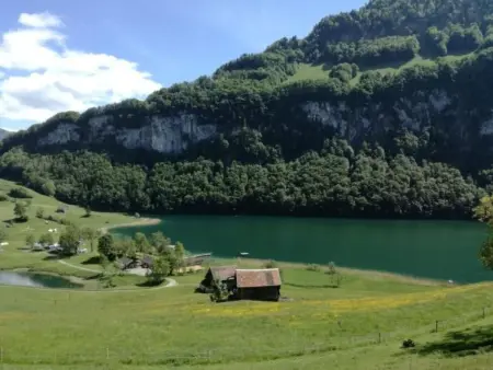 Seppi - Seen und Berge, Maison 4 personnes à Seelisberg - Photo 27
