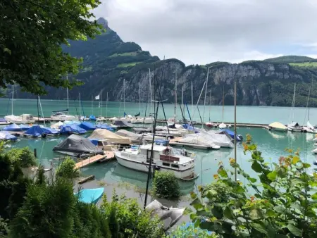 Villa am See, Maison 4 personnes à Sisikon - Photo 16