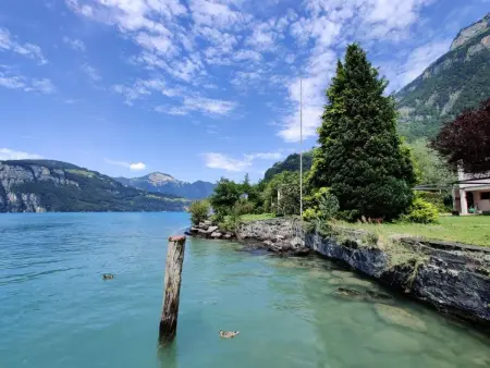Ferienvilla am See 5, Maison 4 personnes à Sisikon - Photo 19
