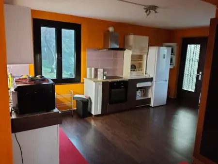 Monti di Motti Ferienhaus inmitten der Natur, Maison 4 personnes à Gordola - Photo 3