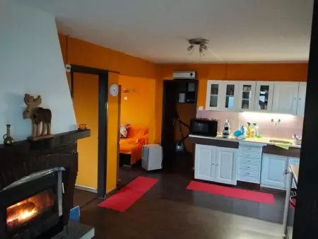 Monti di Motti Ferienhaus inmitten der Natur, Maison 4 personnes à Gordola - Photo 4