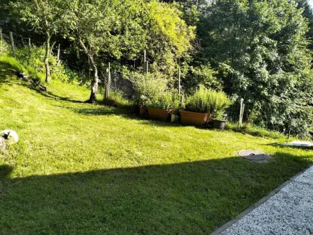 Monti di Motti Ferienhaus inmitten der Natur, Maison 4 personnes à Gordola - Photo 5