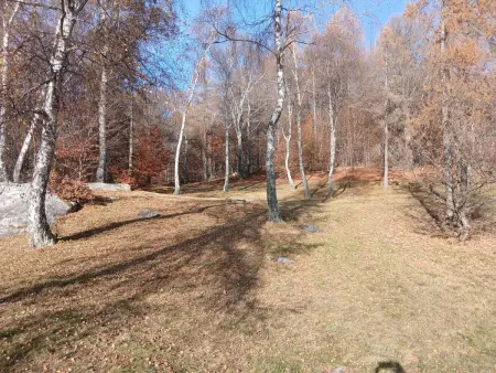 Monti di Motti Ferienhaus inmitten der Natur, Maison 4 personnes à Gordola - Photo 16
